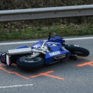normal_20102012fmt_vubischofswiesen_lh_3.JPG