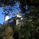 Herbstlicher Mönchsberg