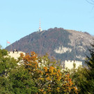 normal_20102012fmt_herbstimpresion_ta_010.JPG
