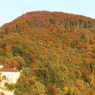 normal_20102012fmt_herbstimpresion_ta_017.JPG
