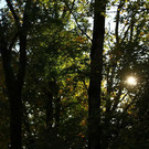 normal_20102012fmt_herbstimpresion_ta_020.JPG