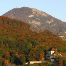 normal_20102012fmt_herbstimpresion_ta_024.JPG