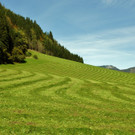 18102012herbstimpressionenat_02_001aktivnews__23_.JPG