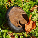 18102012herbstimpressionenat_02_001aktivnews__31_.JPG
