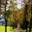 18102012herbstimpressionenat_02_001aktivnews__28_.JPG