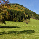 18102012herbstimpressionenat_02_001aktivnews__24_.JPG