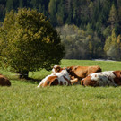 18102012herbstimpressionenat_02_001aktivnews__15_.JPG