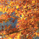 20102012herbstde01003aktivnews__26_.JPG