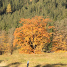 20102012herbstde01003aktivnews__20_.JPG