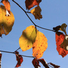 20102012herbstde01003aktivnews__27_.JPG
