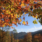 20102012herbstde01003aktivnews__28_.JPG