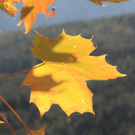 20102012herbstde01003aktivnews__34_.JPG