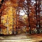 Herbst an der Isar