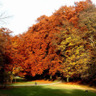 18102012herbstde_04_002aktivnews__11_.JPG