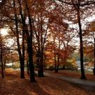 18102012herbstde_04_002aktivnews__10_.JPG