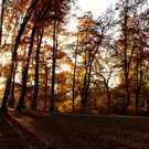 18102012herbstde_04_002aktivnews__15_.JPG