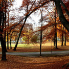 18102012herbstde_04_002aktivnews__12_.JPG