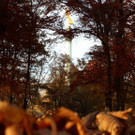 18102012herbstde_04_002aktivnews__1_.JPG