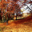 18102012herbstde_04_002aktivnews__8_.JPG