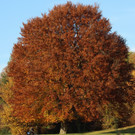 18102012herbstde_04_002aktivnews__6_.JPG