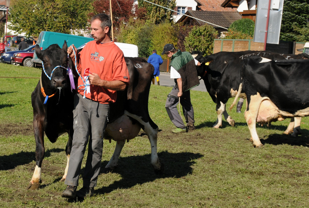 Viehausstellung 19-10-2012 45_jpg-1350832502