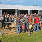 Viehausstellung 19-10-2012 109_jpg-1350832747