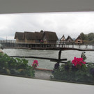 IMG_7737 _Large__jpg-1350833142