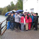 IMG_7751 _Large__jpg-1350833163