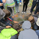IMG_7785 _Large__jpg-1350833214