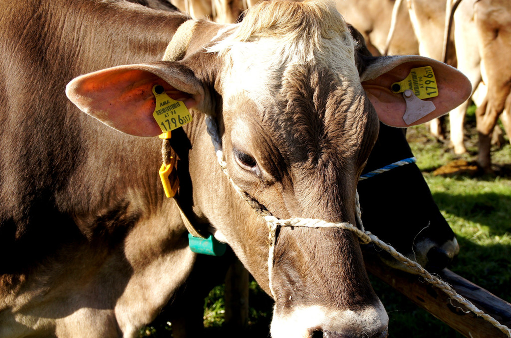 # Titelbild _04__JPG-1350836156