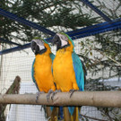 img_7957.jpg