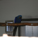 img_7928.jpg