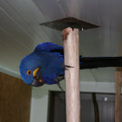 img_7932.jpg