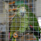 img_7942.jpg