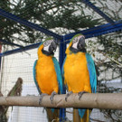 img_7955.jpg
