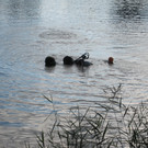 IMG_4942_JPG-1350847138