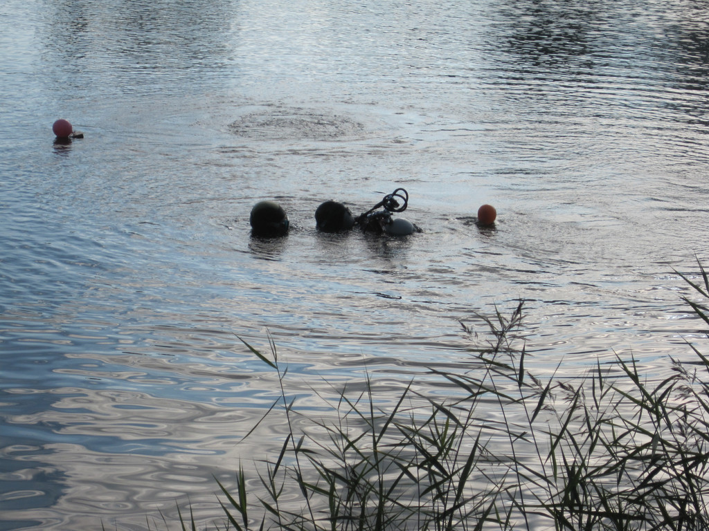 IMG_4942_JPG-1350850980