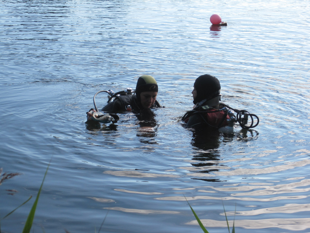 IMG_4946_JPG-1350851333