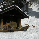 DSCN8335.JPG