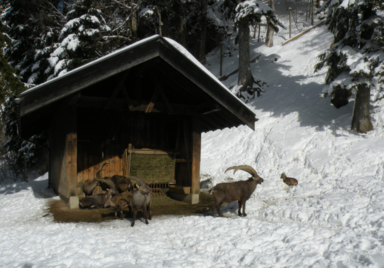 DSCN8335.JPG