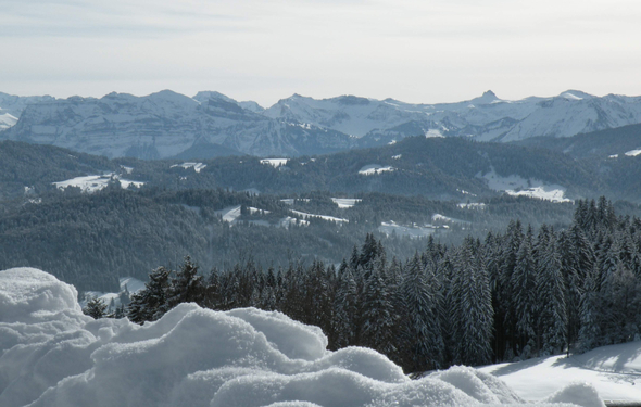 DSCN8336.JPG