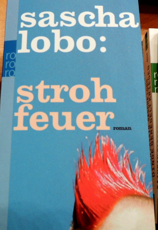 DSCN5422_JPG-1350857750