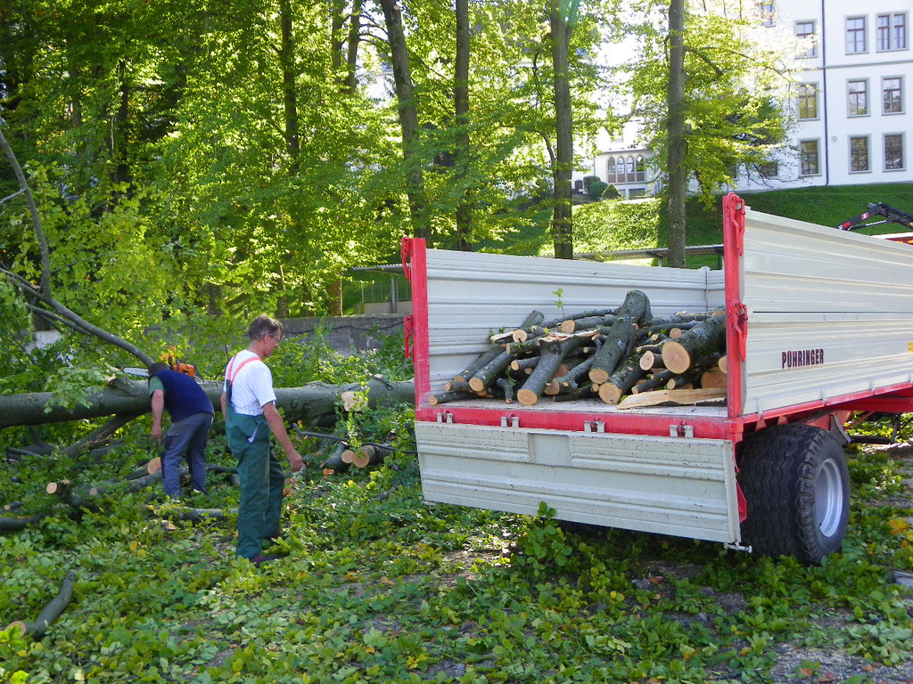 116_4485_JPG-1350858810