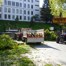 116_4490_JPG-1350858819