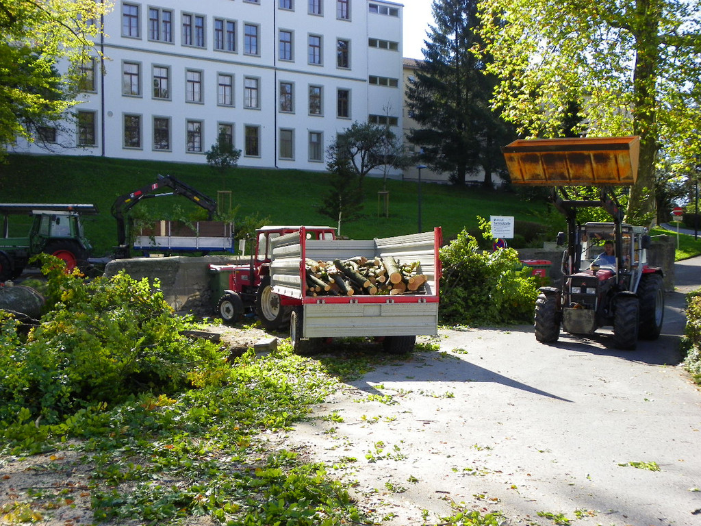 116_4490_JPG-1350858819