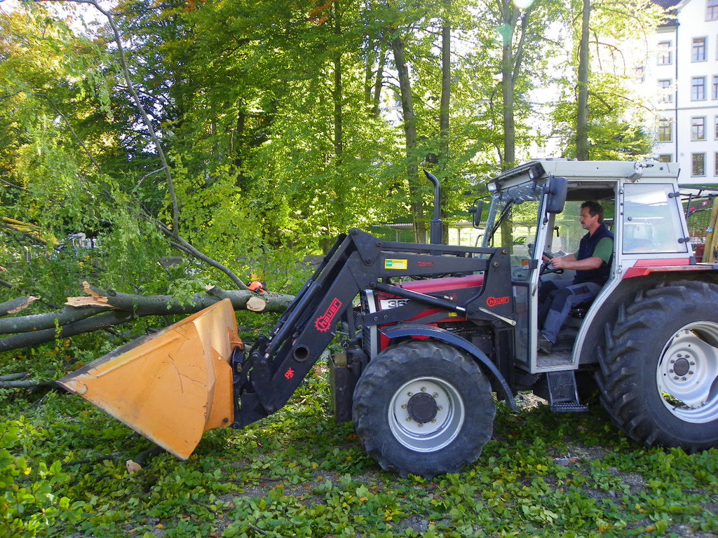 116_4491_JPG-1350858823