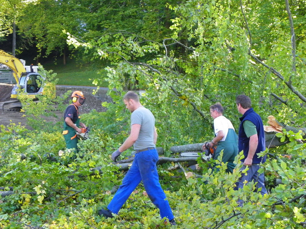 116_4493_JPG-1350858828