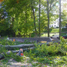 116_4496_JPG-1350858832