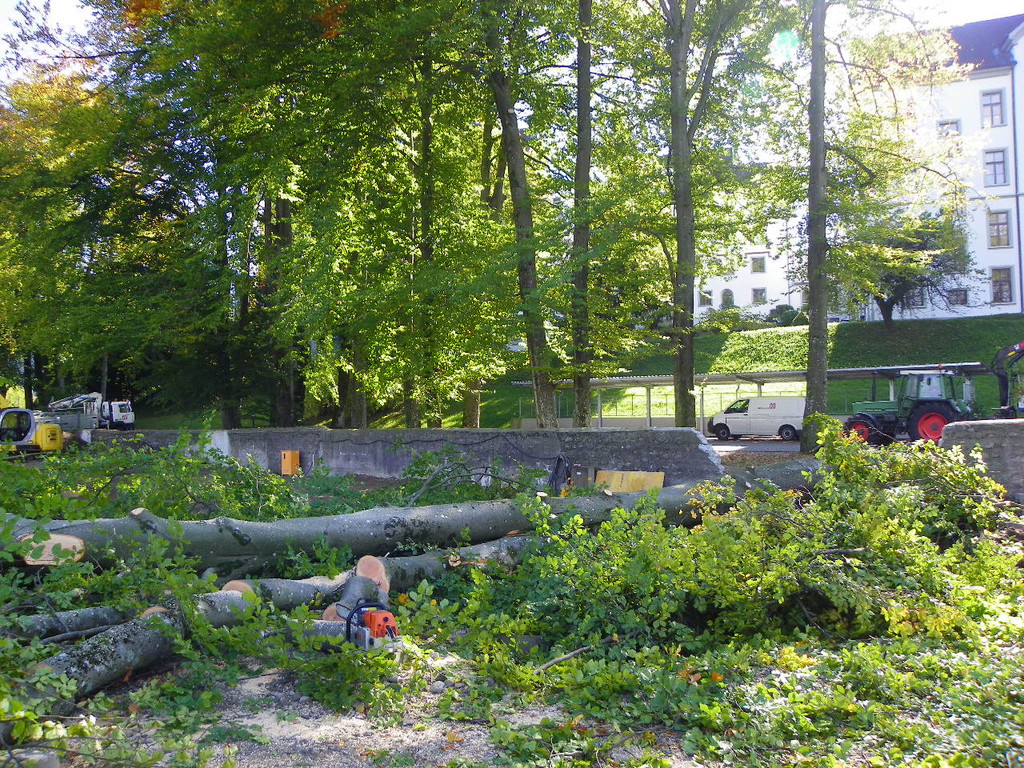 116_4496_JPG-1350858832