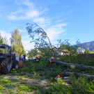 116_4497_JPG-1350858836